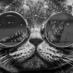 Просто Kot, 08.10, Москва