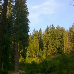 Сашко Остос, 06.06.1994, Киев