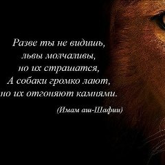 Жека Орищенко, 21.08.1989, Коростень