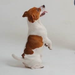 Александр Суханов, 12.01, Москва