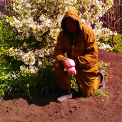 Александр Киров