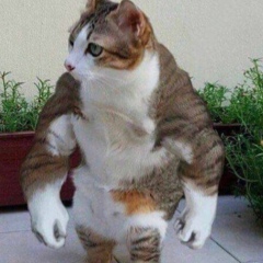 Alex Kh, 08.01.2000, Москва