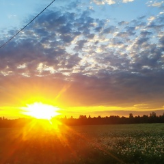 Елена Телицына, 04.01.1979, Санкт-Петербург
