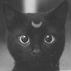 Сардаана Маркова, 10.10, Якутск