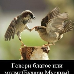 Абай Ормонов, 10.10, Ош