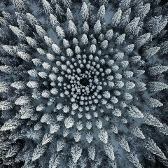 Дмитрий Степанов, 11.11.1986, Санкт-Петербург