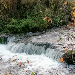 Ольга Кашуба, Тамбов