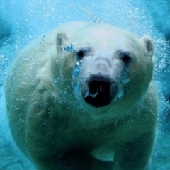 Ильдар Хасанов, 15.04, Алматы