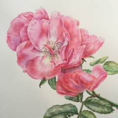 Наталья Зуева, 02.03, Санкт-Петербург