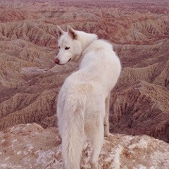 Рената Серебрякова, 20.05