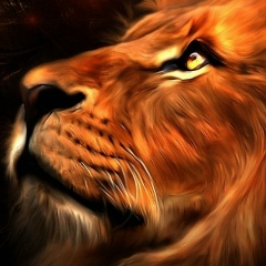 Ромка Назаров, 30.07.1989, Казань