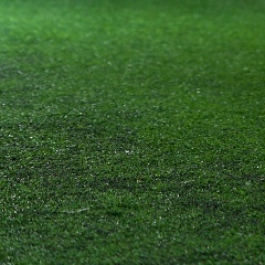 Ром Руми, Санкт-Петербург