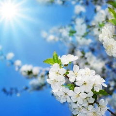 Оксана Орлова, 07.07, Алматы