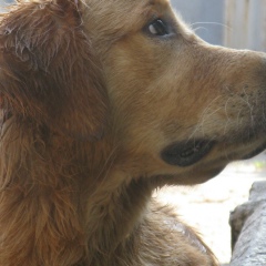 Наталья Харьковская, 06.06.1980, Харьков