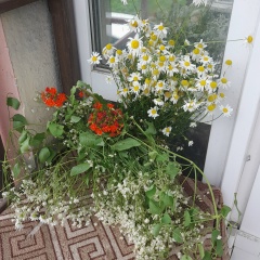 Оксана Серая, 11.07.1977, Челябинск