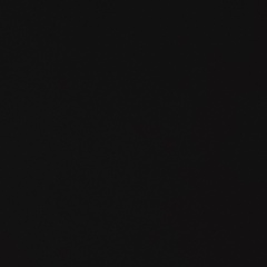 Василь Касинець, 22.08.1988, Киев