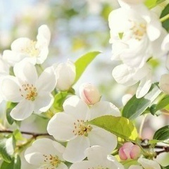 Люба Кожевникова, 22.05, Челябинск