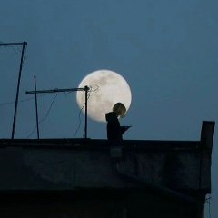 Вера Плотникова