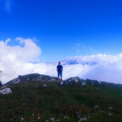 Александр Старичков, Санкт-Петербург
