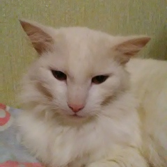 Сергей Пирожков, 18.10.1976, Буй