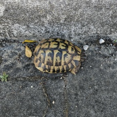 Ксения Цымбалова, 06.11, Poznań