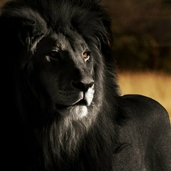 Сатыбалды Абдолов, 06.10.1992, Актау