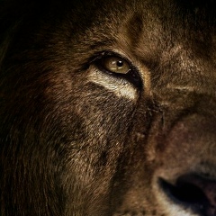 Азат Мухамадиев, 11.08, Уфа