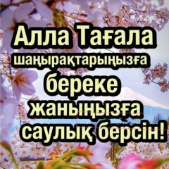 Гульназ Абилгазиева, 18.01.1990, Шымкент