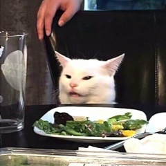 Рахат Танауов, 11.07.1996, Алматы