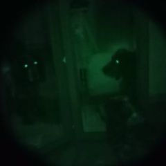 Павел Овчаркин, Москва