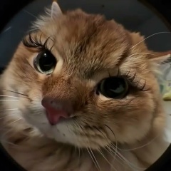 Маруся Устюгова, 15.05, Челябинск