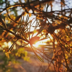 Роман Милославский, 08.01, Санкт-Петербург