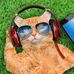 Евгений Никулин, 18.12, Самара