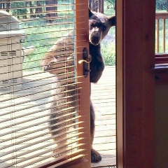 Маша Романова, 26.09.1993, Москва