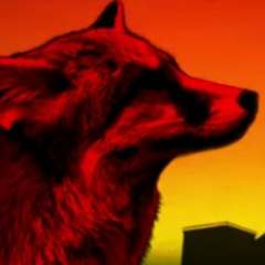 Влад Щуровский, 30.11.1998, Киев