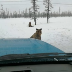 Александр Богомолов, 25.06.1986, Варгаши (село)