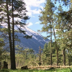 Александра Минина, 18.02.1987, Москва