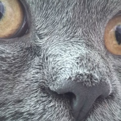 Елена Морозова, Оренбург