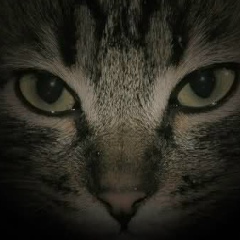 Лена Суслова, 12.03.1986, Papeete