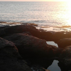 Оксана Писар, 01.01