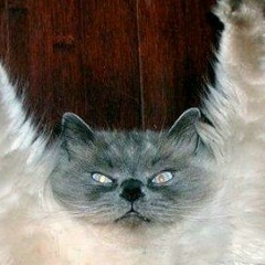 Юрий Смирнов, 01.01.1905, Санкт-Петербург