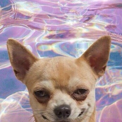 Павел Луканин, 23.05, Москва