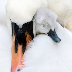 Динара Паизова-Исмаилова, 07.08, Актобе