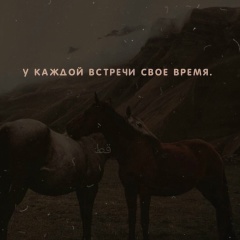 Ансар Ингушев, 15.11, Назрань