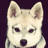 *re$pect* ★з♥а♦й♣ц★у♥, 29.06.1999, Зеленокумск