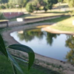 Люба Гладышева