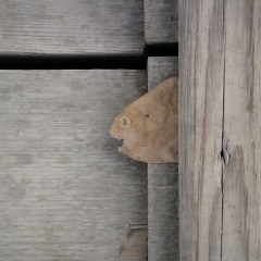 Николай Барабанов, Москва