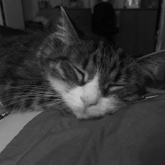 Евгения Леманн, 12.07