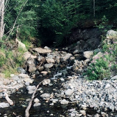 Олеся Кравченко, Магадан