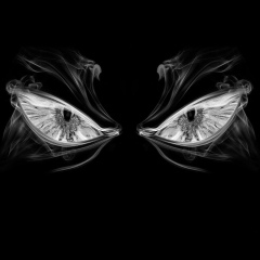 Николай Гарагуля, 11.06, Луганск